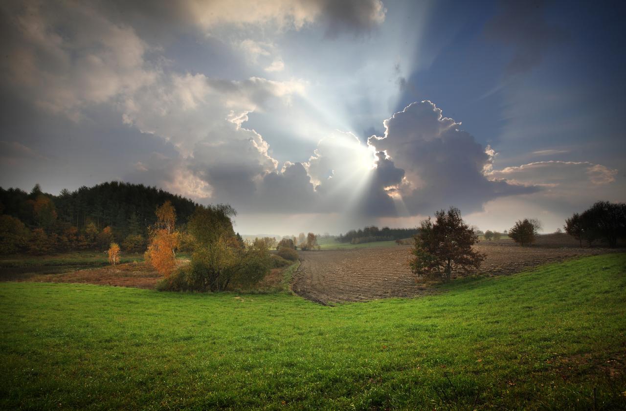 Palac I Folwark Nemino Sierakowice  Kültér fotó